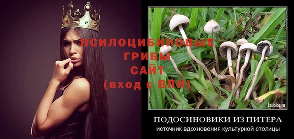 ПСИЛОЦИБИНОВЫЕ ГРИБЫ Алексеевка
