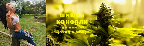 ПСИЛОЦИБИНОВЫЕ ГРИБЫ Алексеевка