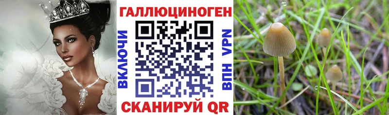Галлюциногенные грибы Magic Shrooms  Копейск 