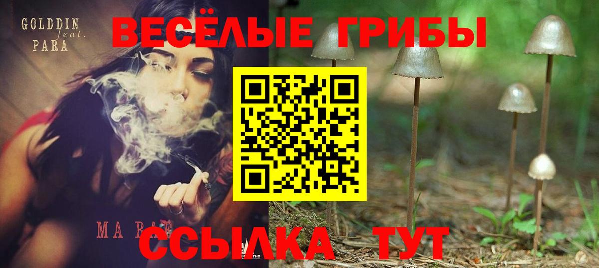 Галлюциногенные грибы GOLDEN TEACHER Копейск